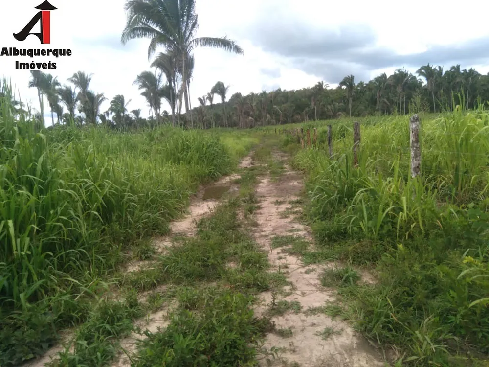 Fazenda, 740 m² - Foto 2