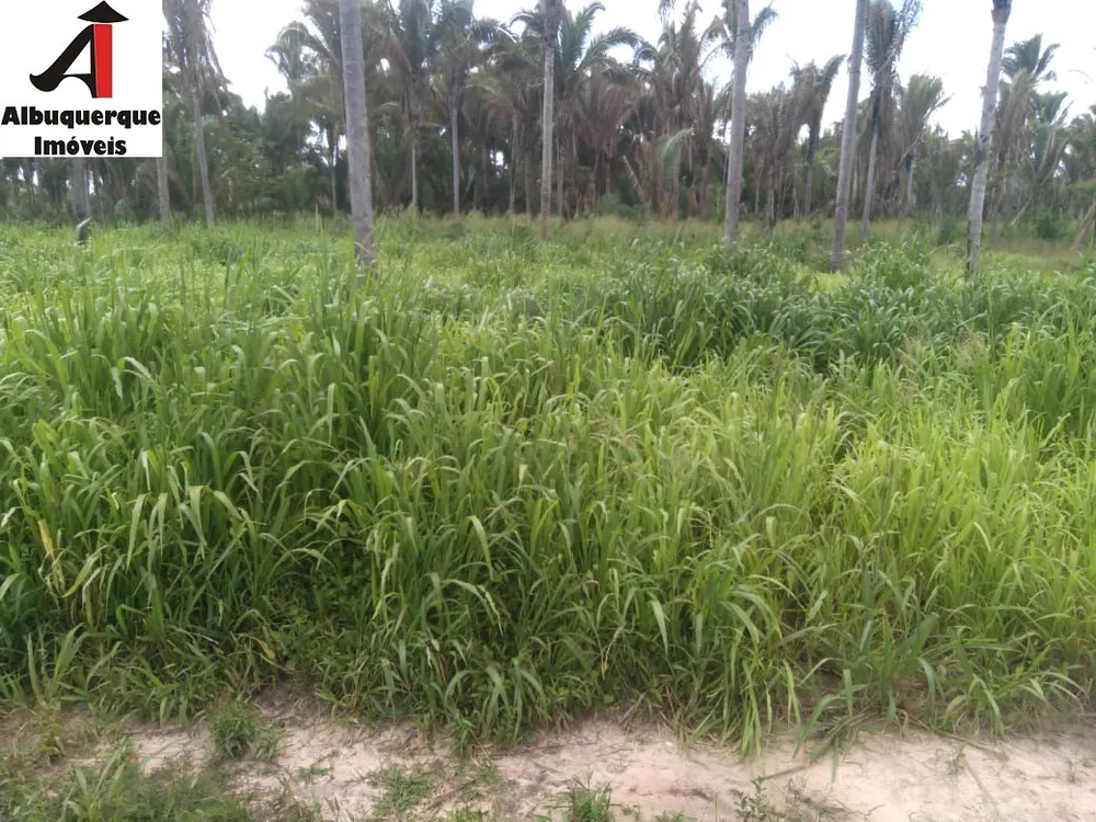 Fazenda, 740 m² - Foto 14