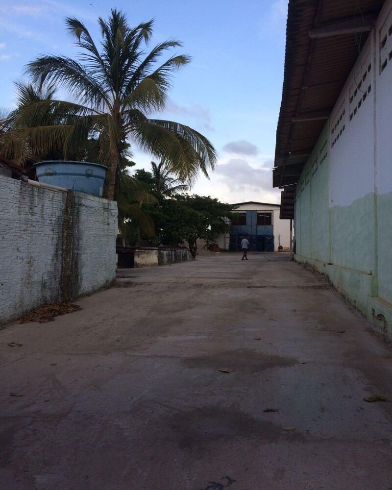 Depósito-Galpão - Foto 1