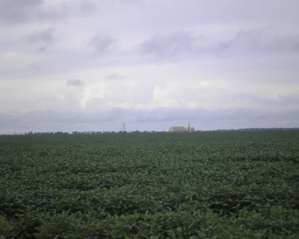 Fazenda, 6 hectares - Foto 16