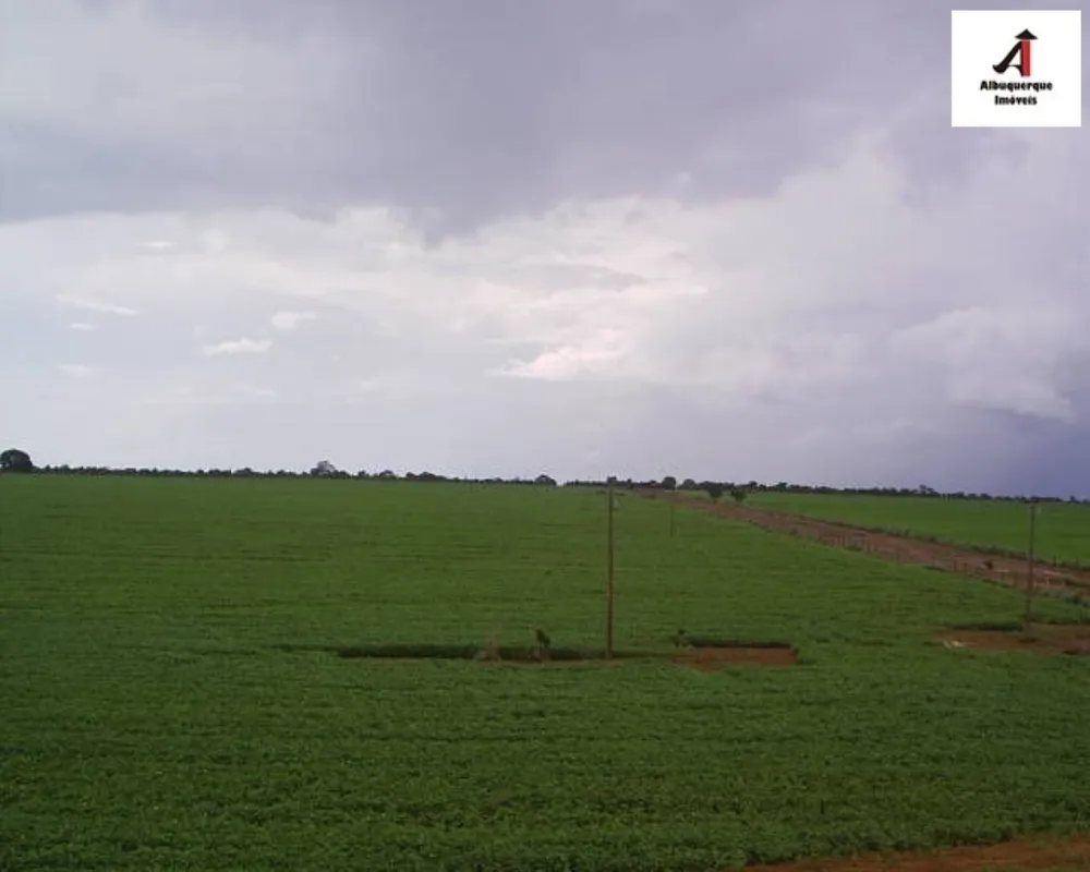 Fazenda, 6 hectares - Foto 4