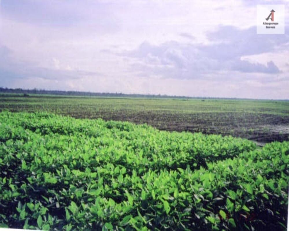 Fazenda à venda, 60000m² - Foto 2