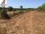 Loteamento e Condomínio, 10000 m² - Foto 2