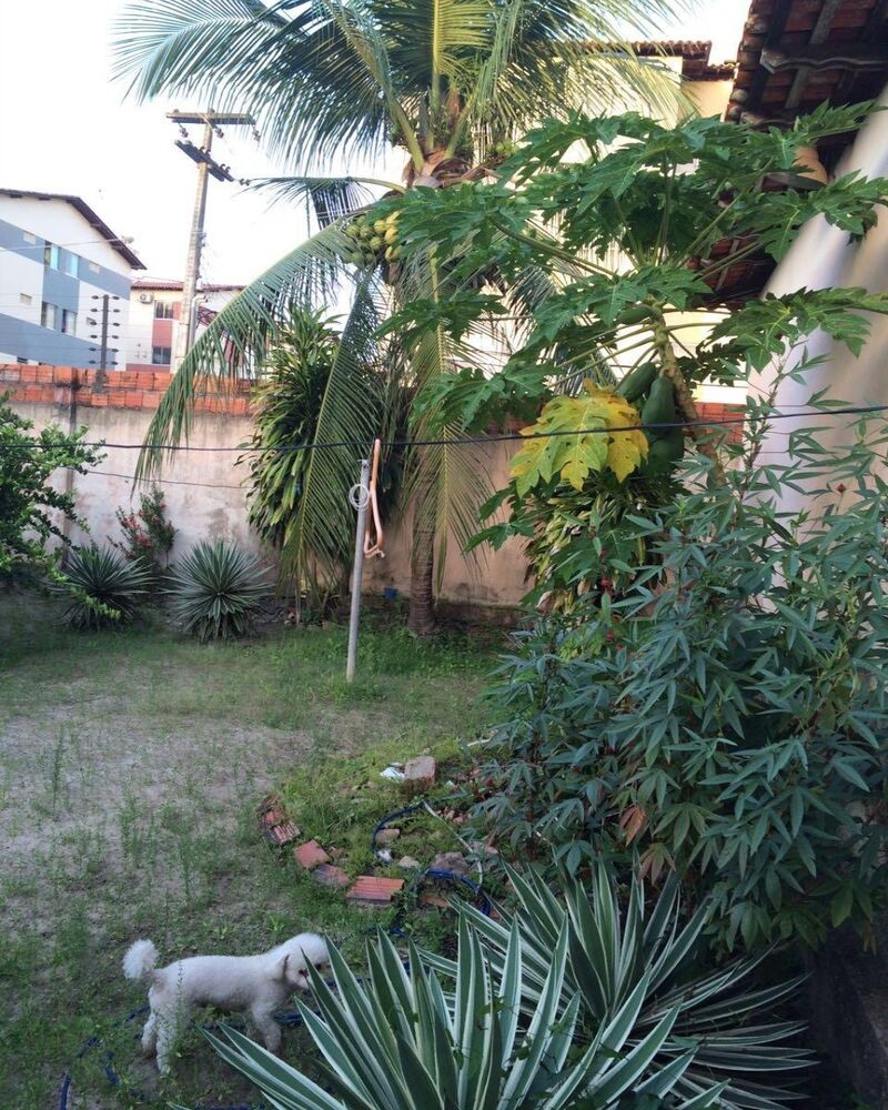 Casa, 3 quartos, 92 m² - Foto 4