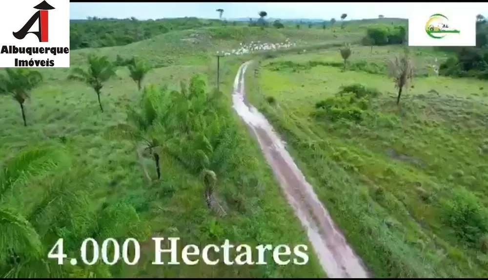 Fazenda, 4000 m² - Foto 8