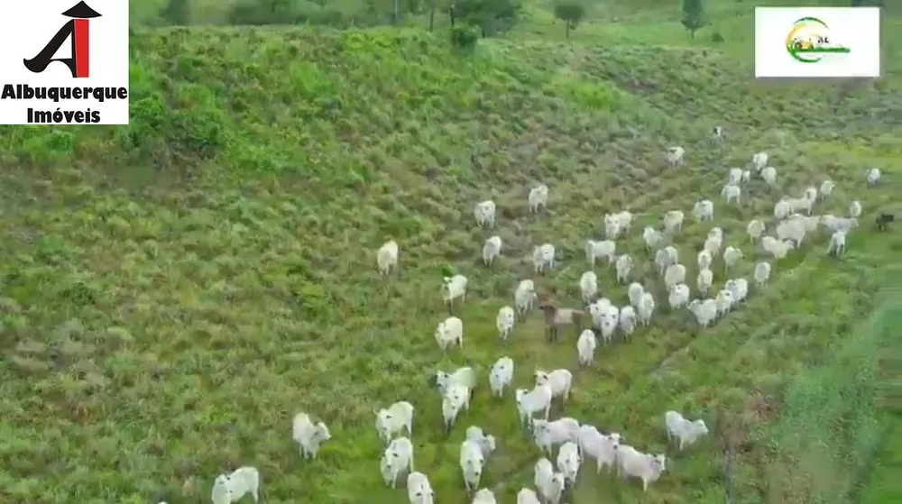 Fazenda à venda, 4000m² - Foto 1