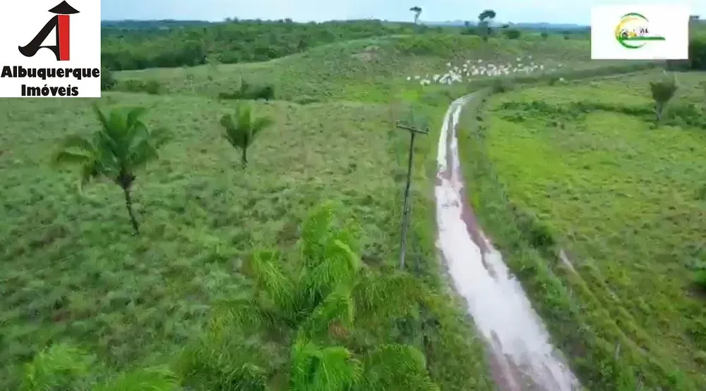 Fazenda, 4000 m² - Foto 5