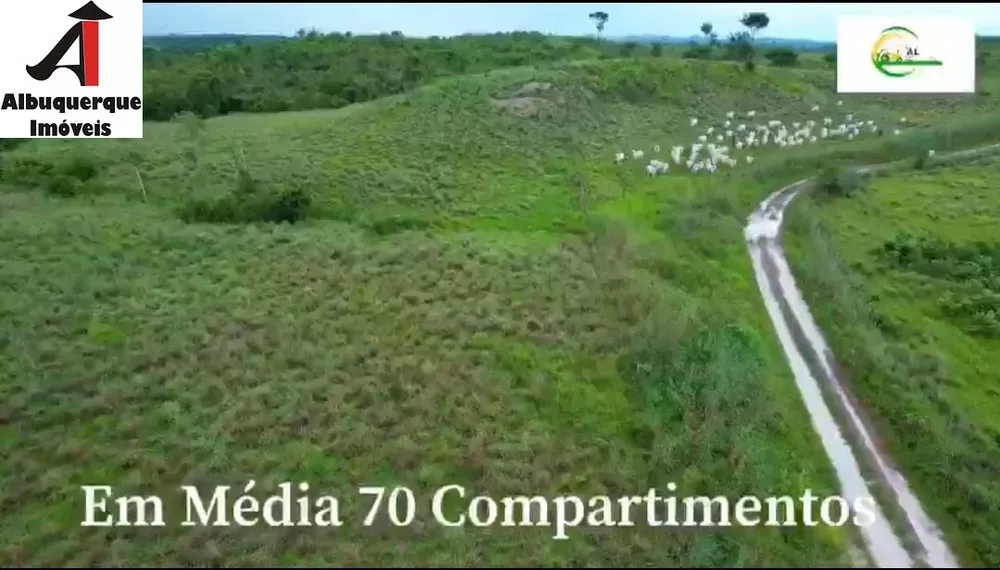 Fazenda à venda, 4000m² - Foto 3