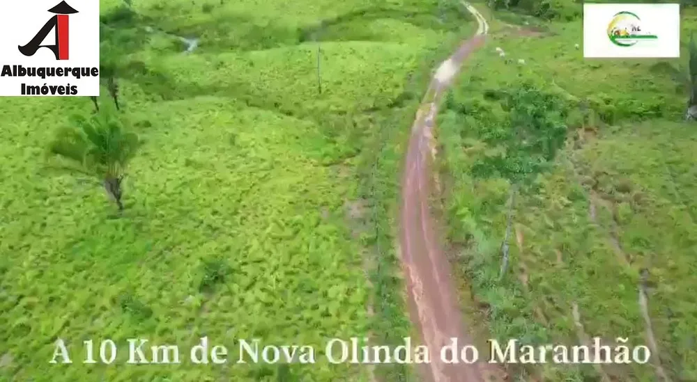 Fazenda, 4000 m² - Foto 6
