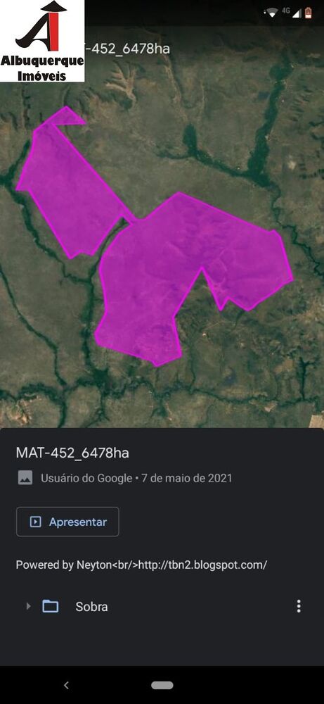 Fazenda à venda com 8 quartos, 8070m² - Foto 4