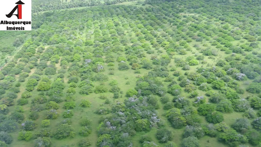 Fazenda - Foto 8