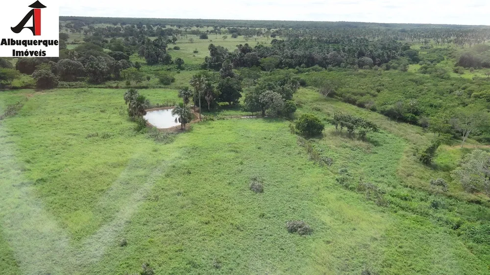 Fazenda - Foto 9