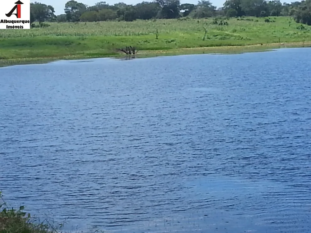 Fazenda - Foto 15