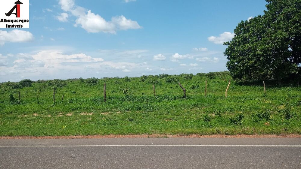 Fazenda, 8 hectares - Foto 3