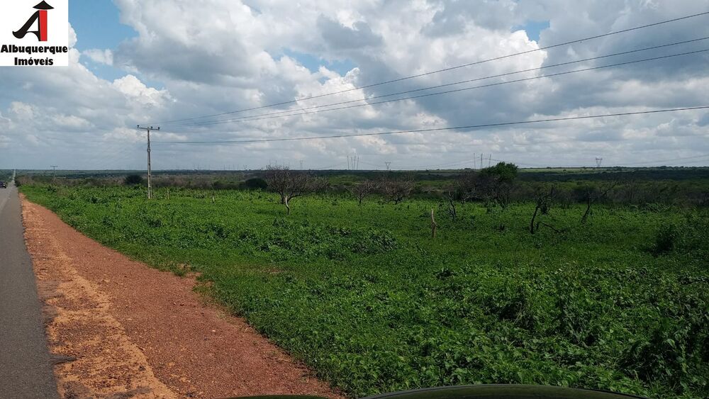 Fazenda, 8 hectares - Foto 4