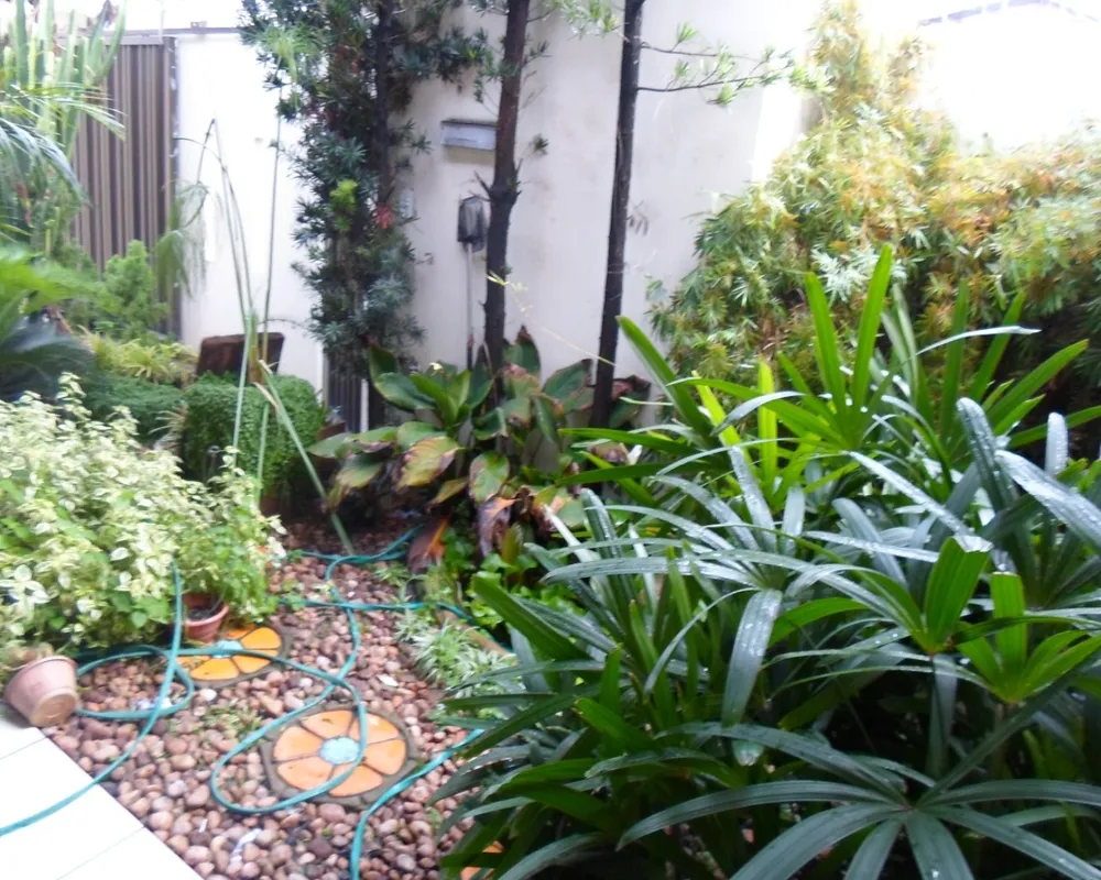Casa, 2 quartos, 250 m² - Foto 6