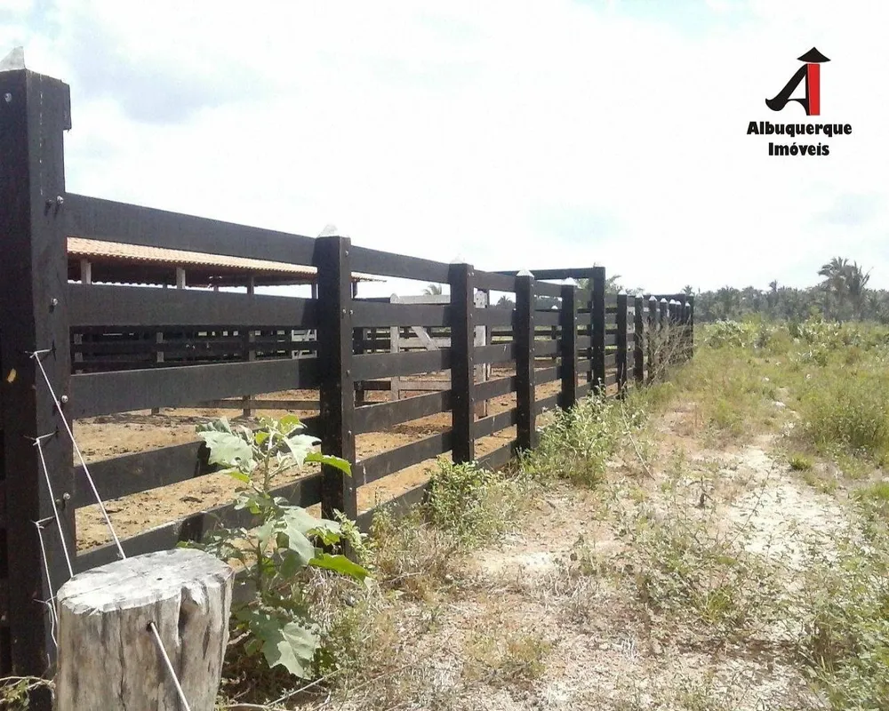 Fazenda, 5260 m² - Foto 13