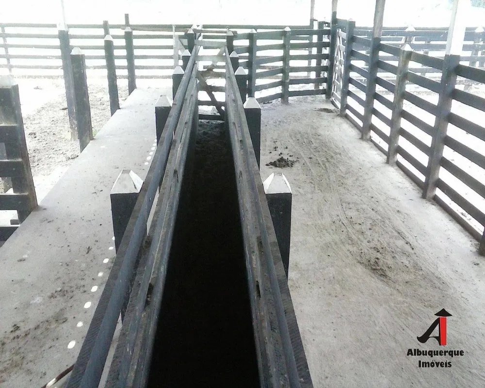 Fazenda, 5260 m² - Foto 3