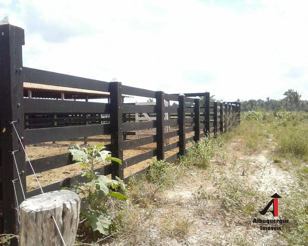 Fazenda, 5260 m² - Foto 12