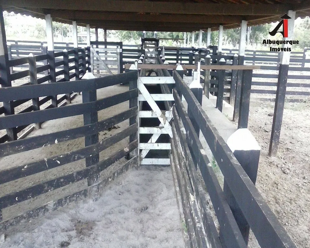 Fazenda, 5260 m² - Foto 10