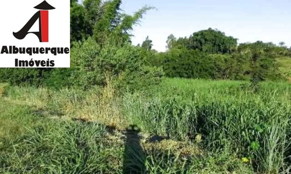 Fazenda - Foto 6