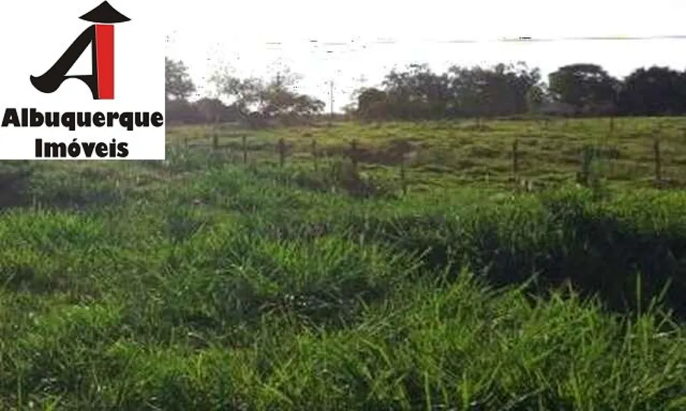 Fazenda - Foto 4