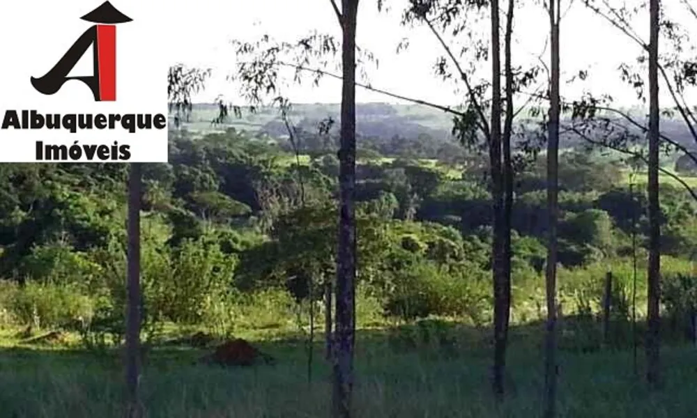 Fazenda - Foto 5