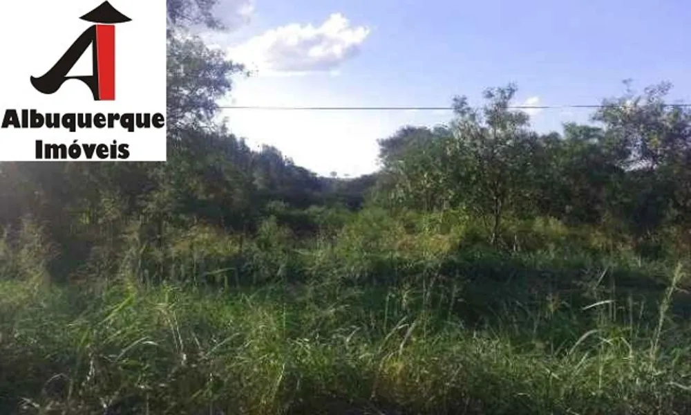 Fazenda - Foto 3