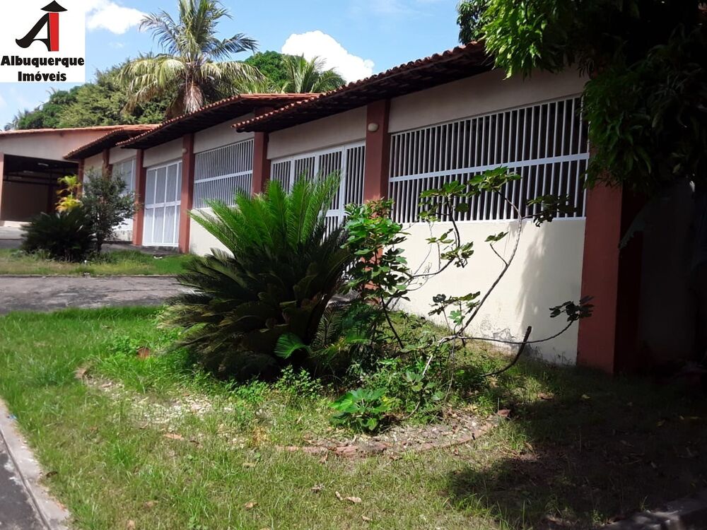 Chácara à venda com 3 quartos, 5400m² - Foto 3