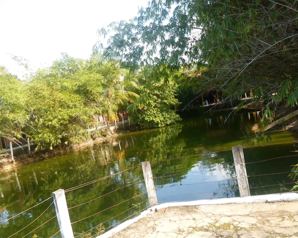 Chácara, 10 quartos, 2 hectares - Foto 10