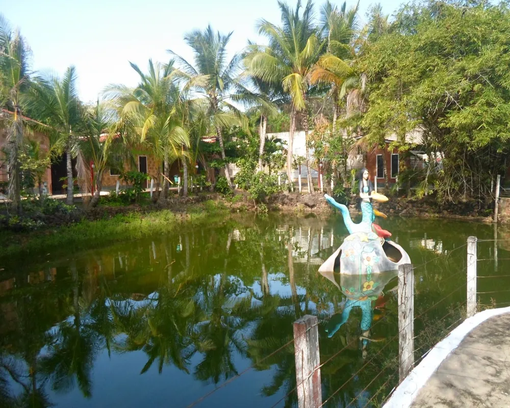Chácara, 10 quartos, 2 hectares - Foto 7