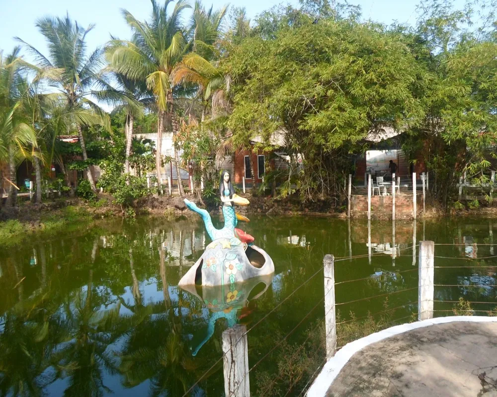 Chácara, 10 quartos, 2 hectares - Foto 7