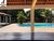 Chácara, 3 quartos, 3000 m² - Foto 5