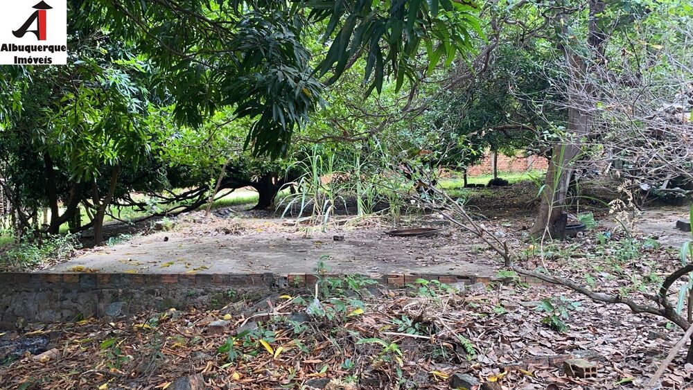 Terreno, 9048 m² - Foto 3