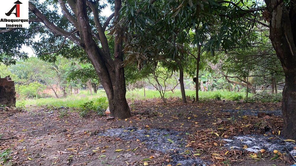 Terreno, 9048 m² - Foto 1