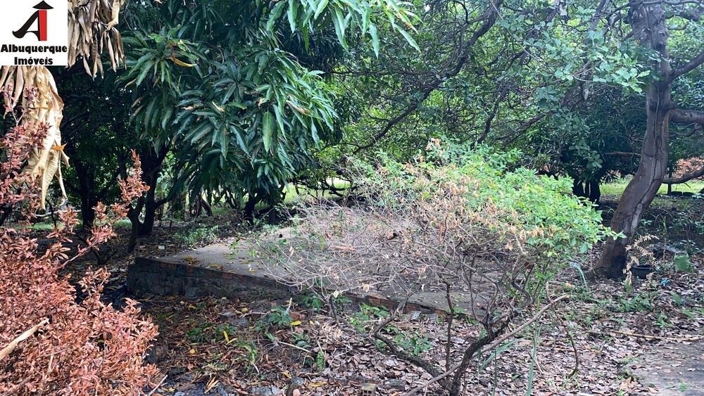 Terreno, 9048 m² - Foto 2