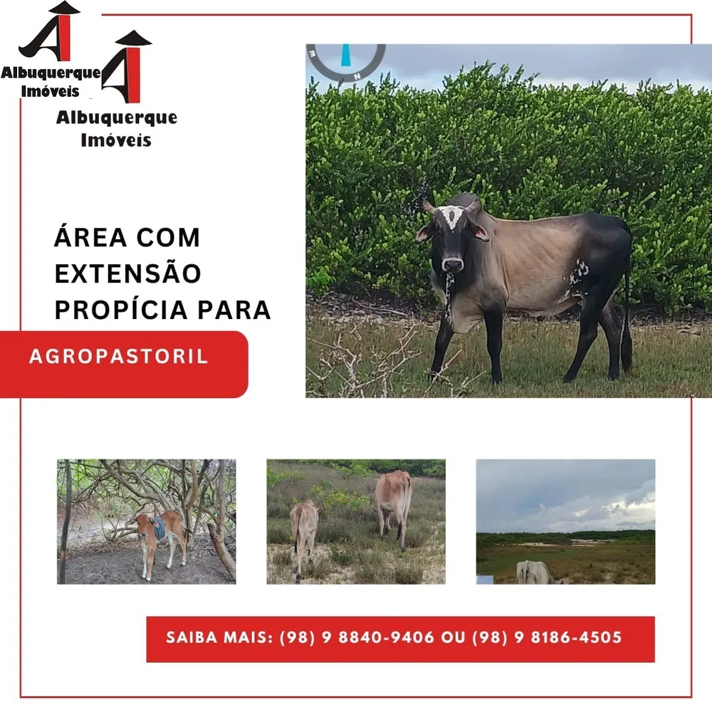 Terreno, 18 hectares - Foto 3