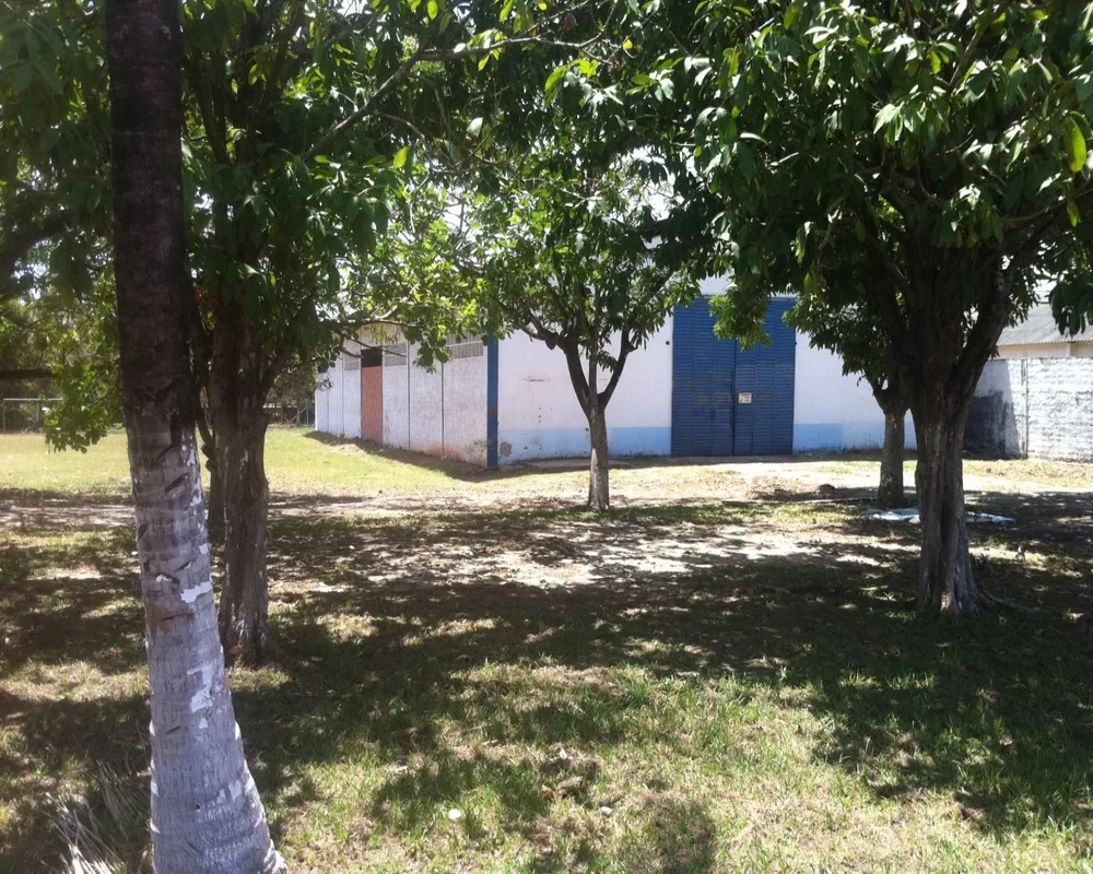 Depósito-Galpão - Foto 3
