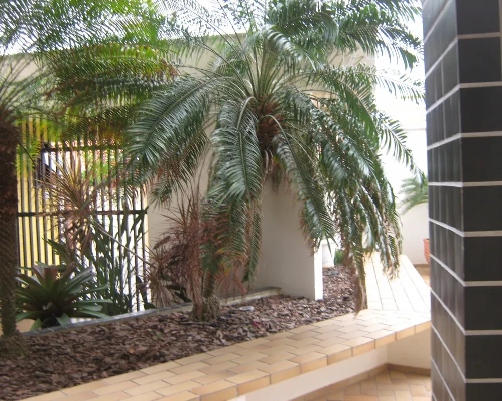 Apartamento, 2 quartos, 100 m² - Foto 4