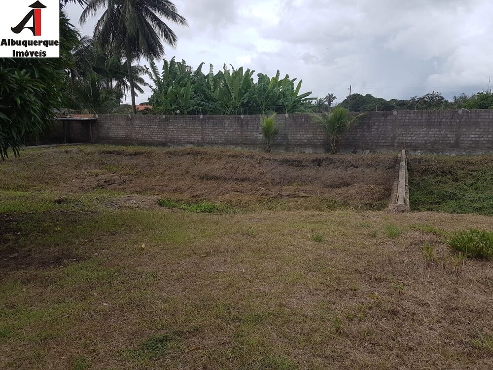 Sítio, 4 quartos, 1818 m² - Foto 4