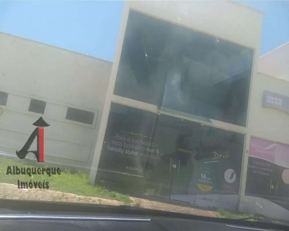 Casa, 4 quartos, 800 m² - Foto 3