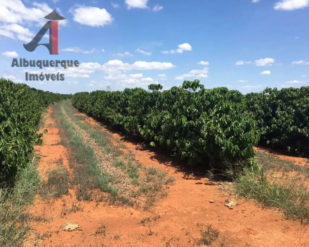 Fazenda, 2200 m² - Foto 3