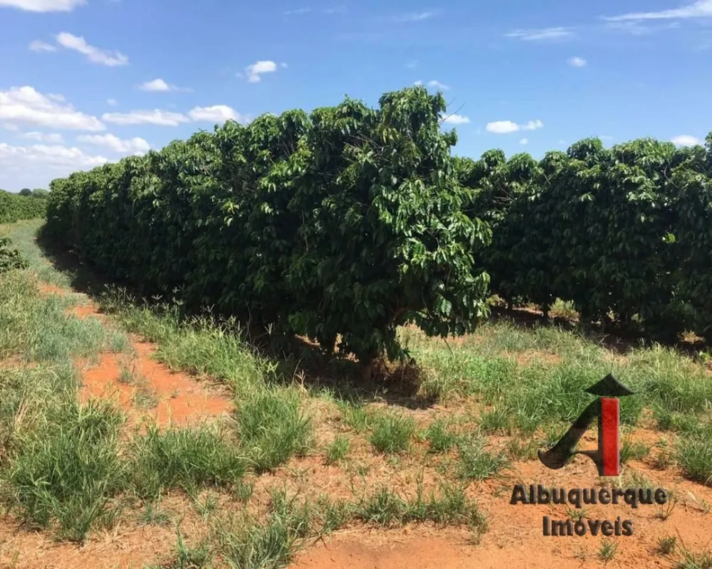 Fazenda, 2200 m² - Foto 7
