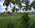 Fazenda, 270 m² - Foto 4