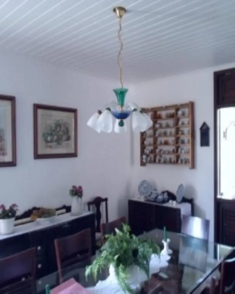 Casa, 5 quartos, 900 m² - Foto 5