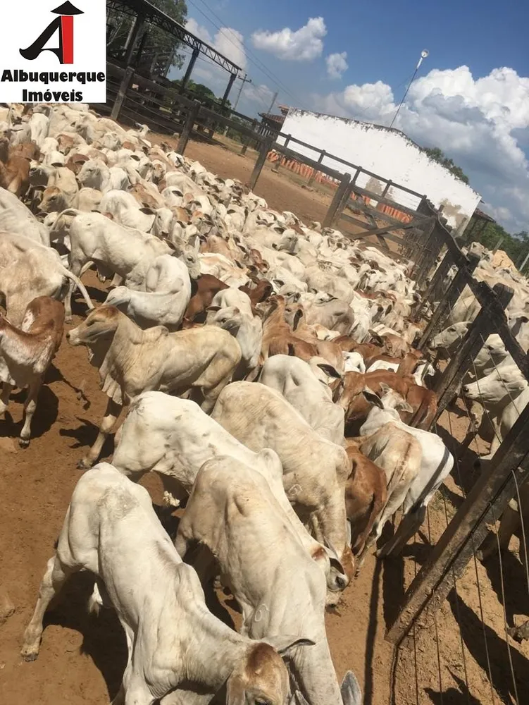 Fazenda, 2376 m² - Foto 6