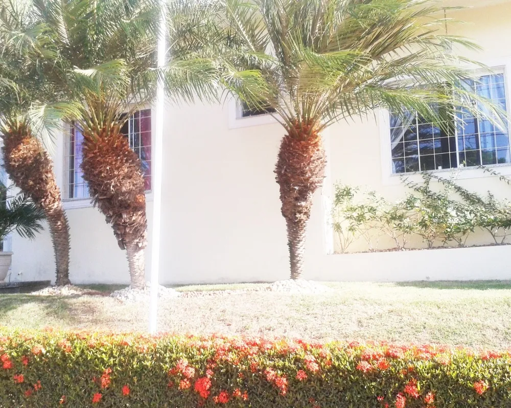 Casa, 3 quartos, 400 m² - Foto 3