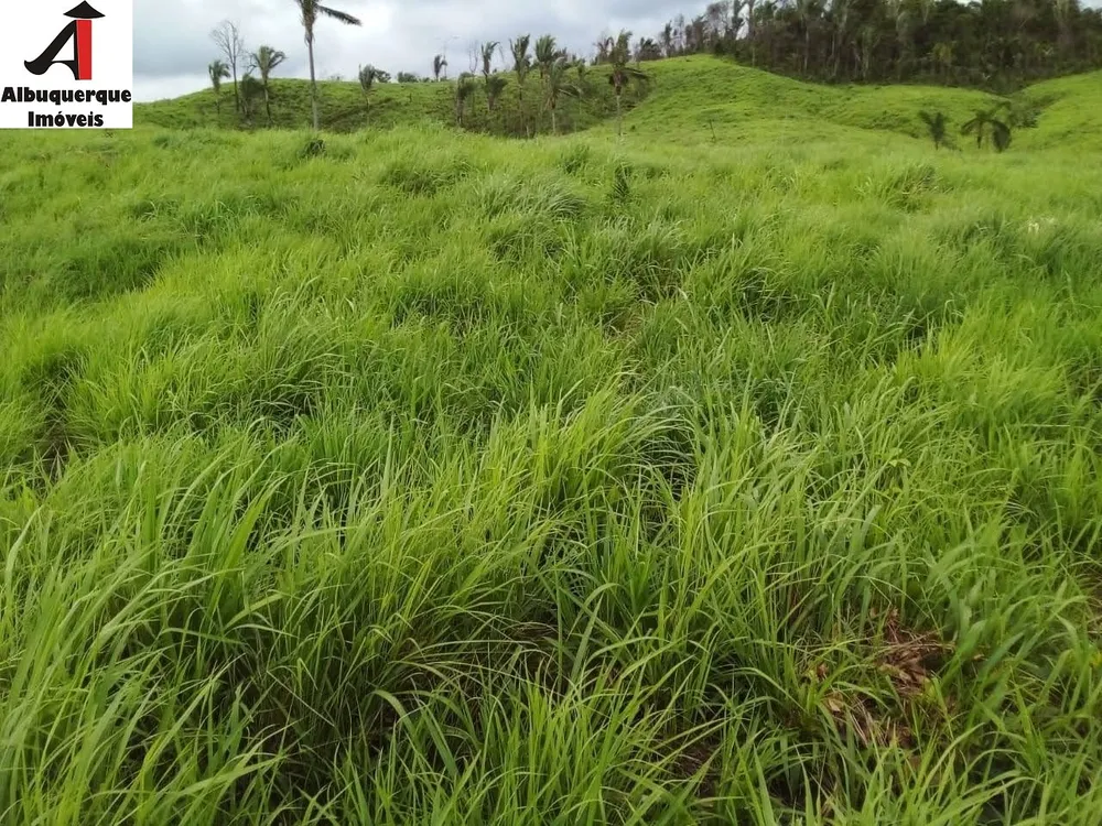 Fazenda, 4000 m² - Foto 6