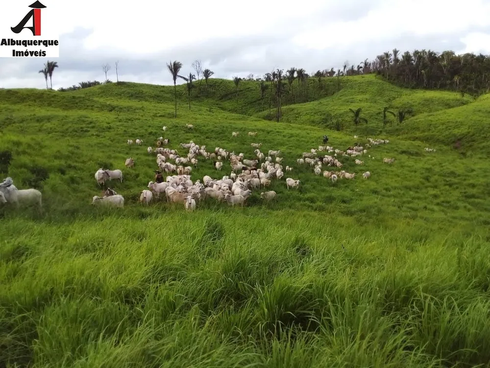 Fazenda, 4000 m² - Foto 1