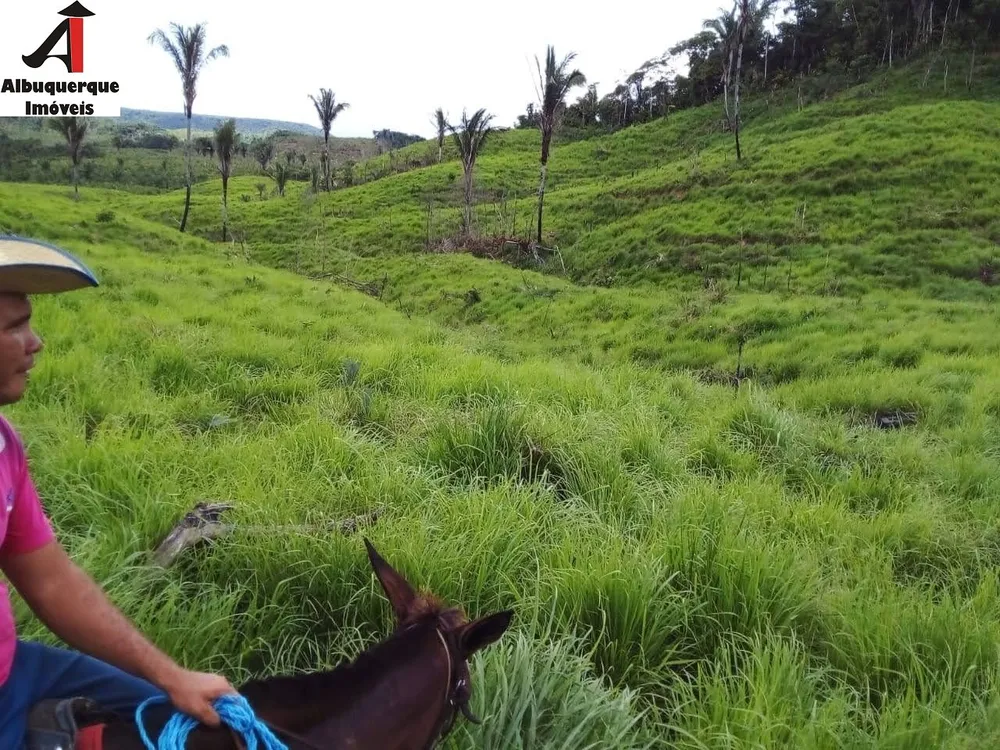 Fazenda, 4000 m² - Foto 4